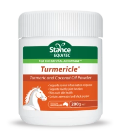 Equitec Turmericle 200G