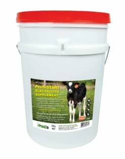 Profestart Electrolyte Powder 20Kg
