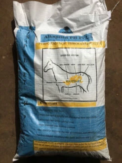 Front Page -AU Poultry Supplies Sales 2024 HAP20