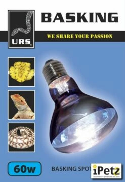 Urs Basking Spot Globe 60W