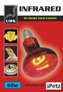 Urs Infrared Spot Lamp 60W