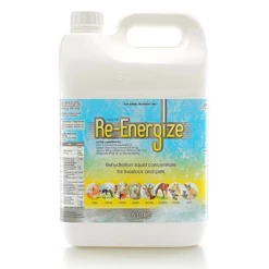 Iah Re-Energize 5L
