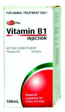 Value Plus Vitamin B1 100Ml