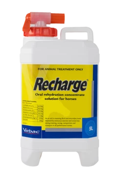 Virbac Recharge Horse 5L