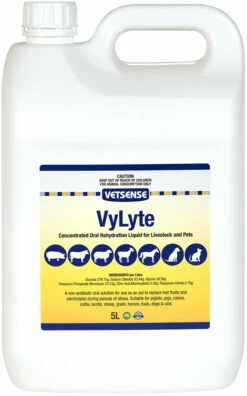 Vetsense Vylyte 5L