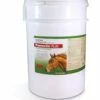 Jurox Promectin Plus 32.4Gx60 Anz Bucket *Spec Ord* -AU Poultry Supplies Sales 2024 jurox promectin plus 324gx60 anz bucket spec ord 452836