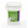 Virbac Strategy T Stable Pail 60X35Ml -AU Poultry Supplies Sales 2024 virbac strategy t stable pail 60x35ml 344098